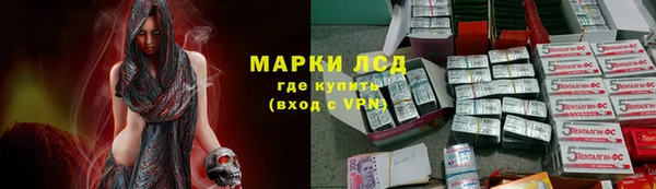 крисы Алзамай