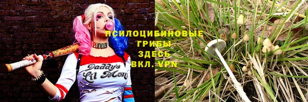 мяу мяу кристалл Алексин