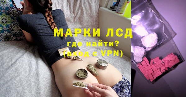 крисы Алзамай